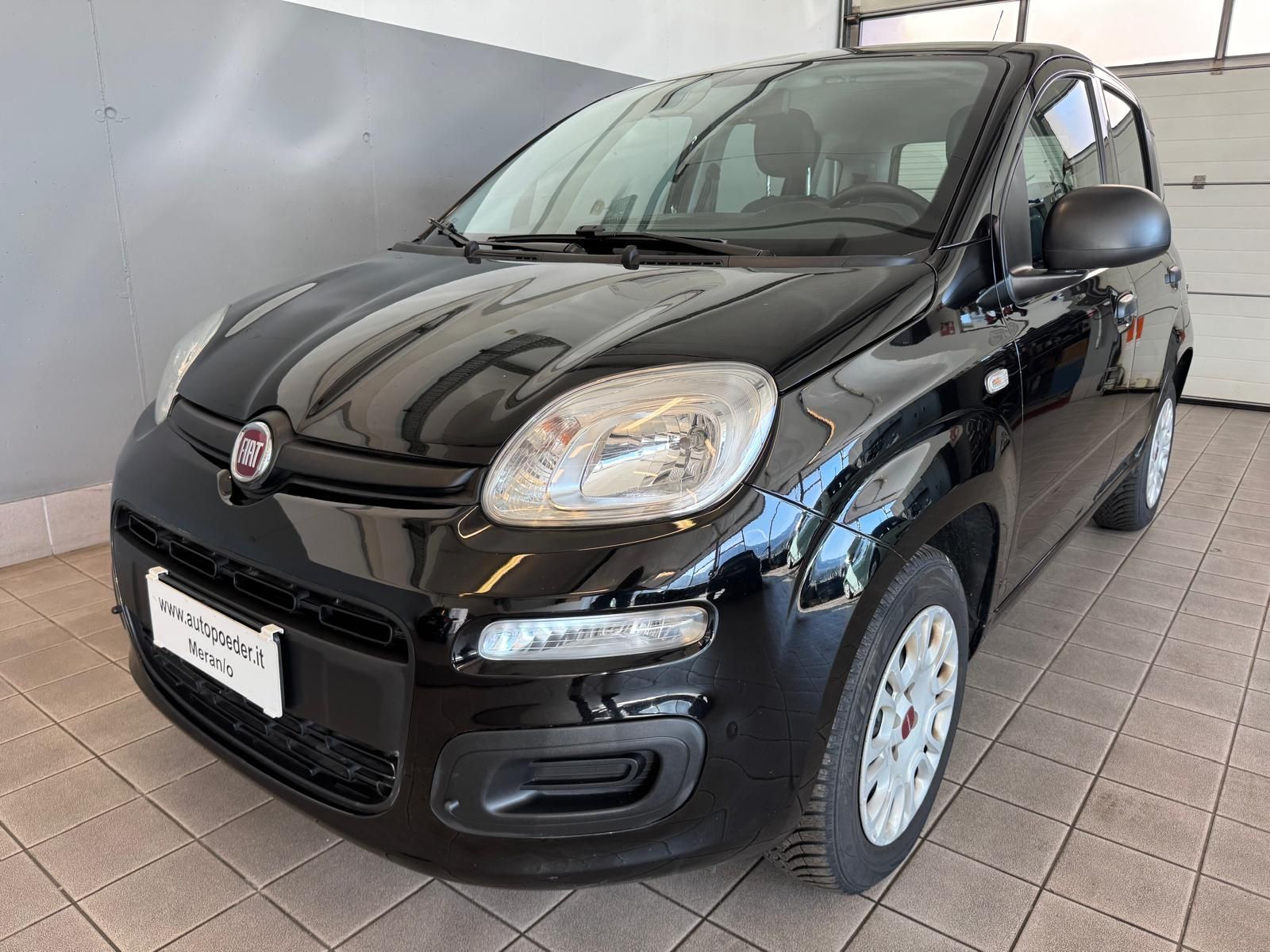 Fiat Panda 1.2 Schwarz Extra (1)