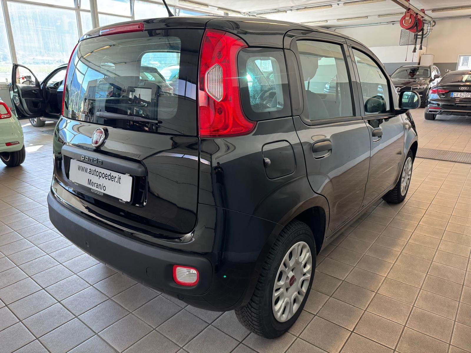 Fiat Panda 1.2 Schwarz Extra (3)