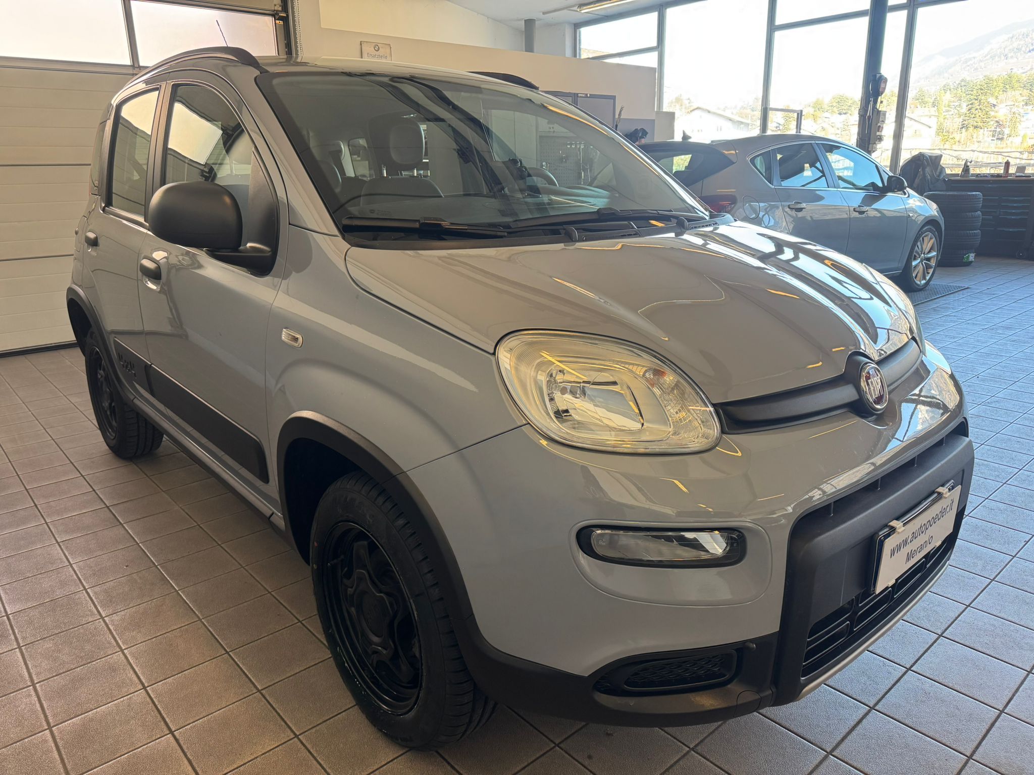 Fiat Panda 4x4 maus grau 900 (2)