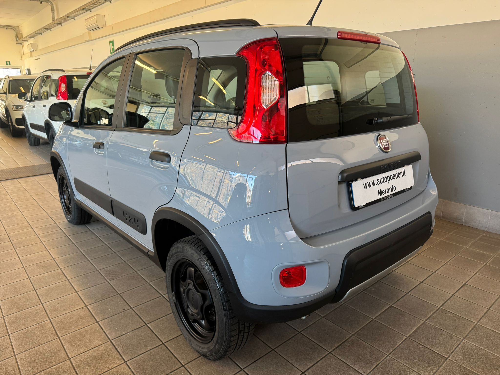 Fiat Panda 4x4 maus grau 900 (4)