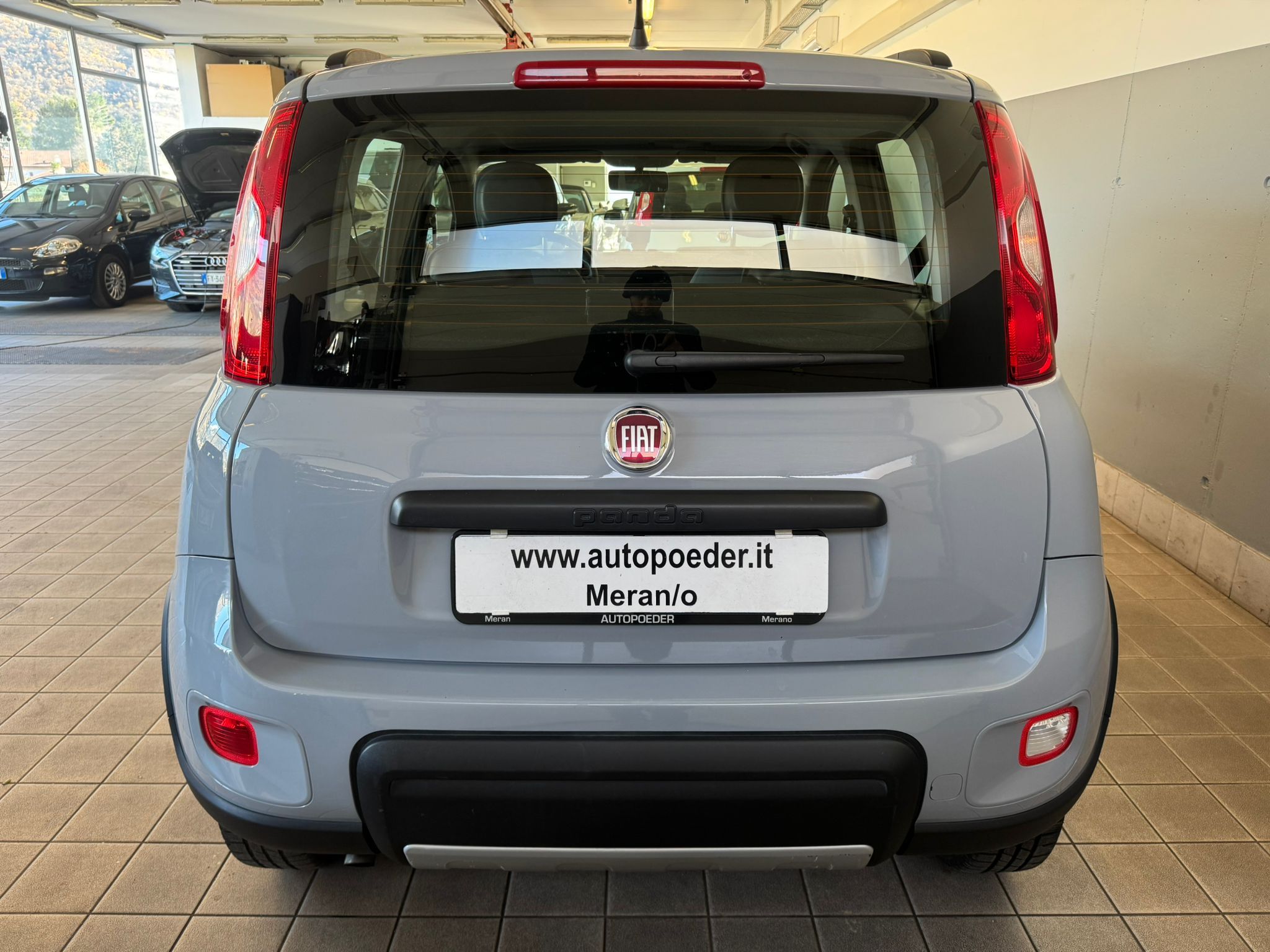 Fiat Panda 4x4 maus grau 900 (7)