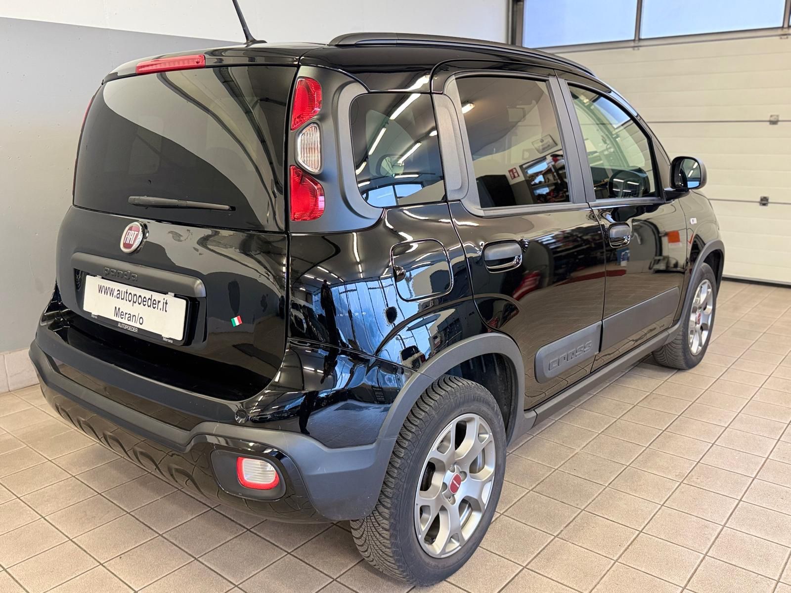 Fiat Panda Cross Waze 1 (4)
