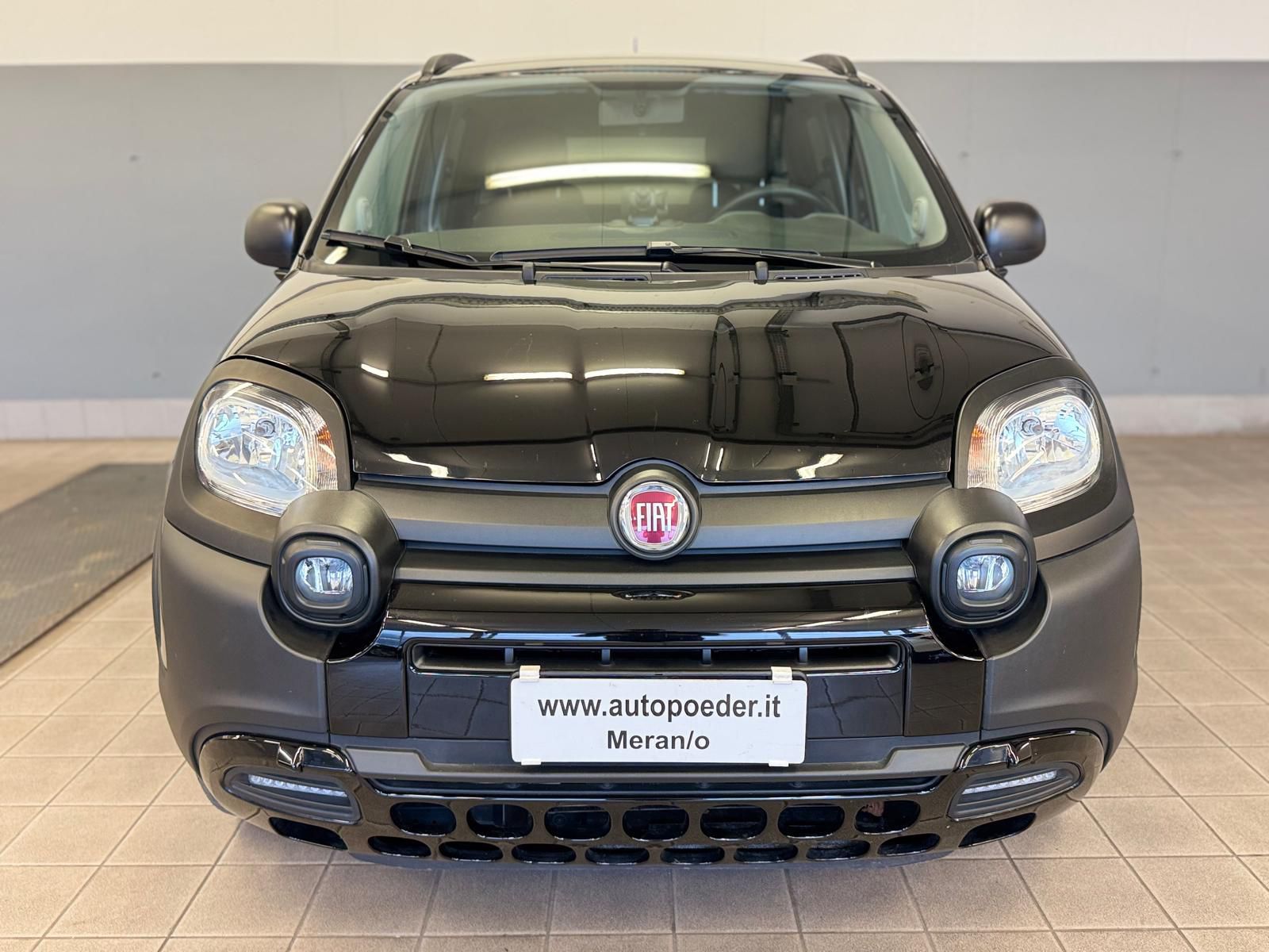 Fiat Panda Cross Waze 1 (5)