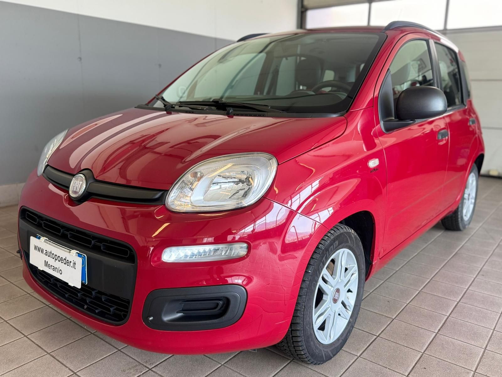 Fiat Panda Rot 133000 km (1)