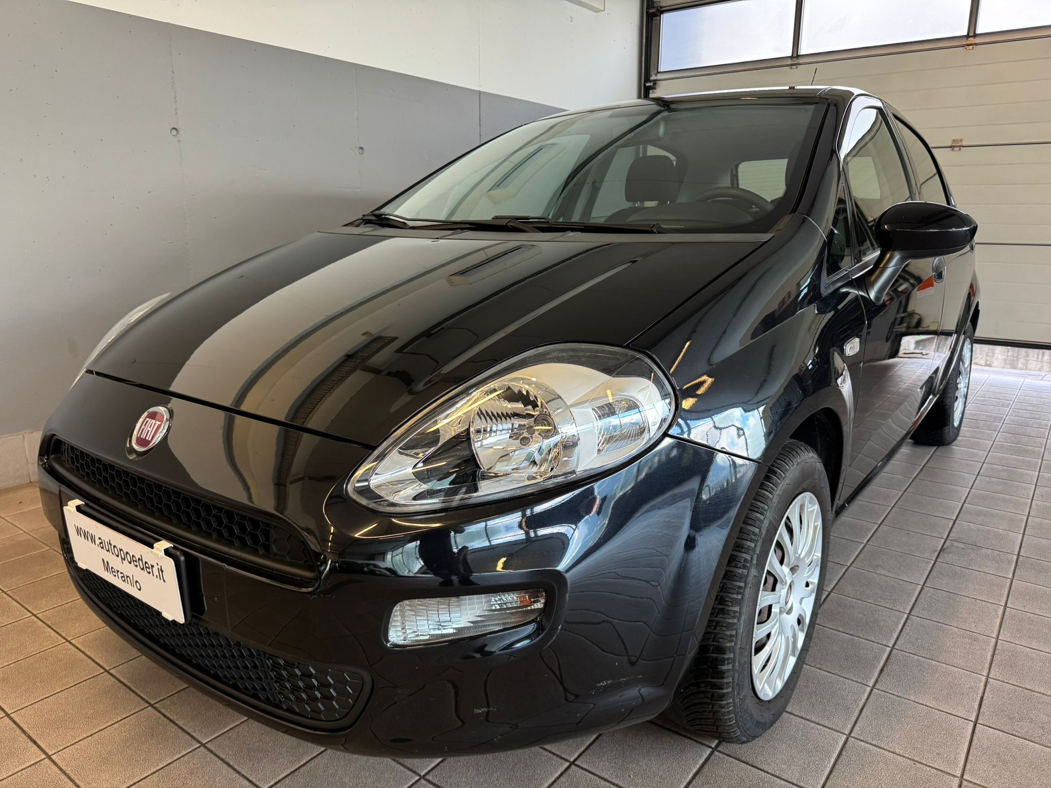 Fiat Punto 1 (1)