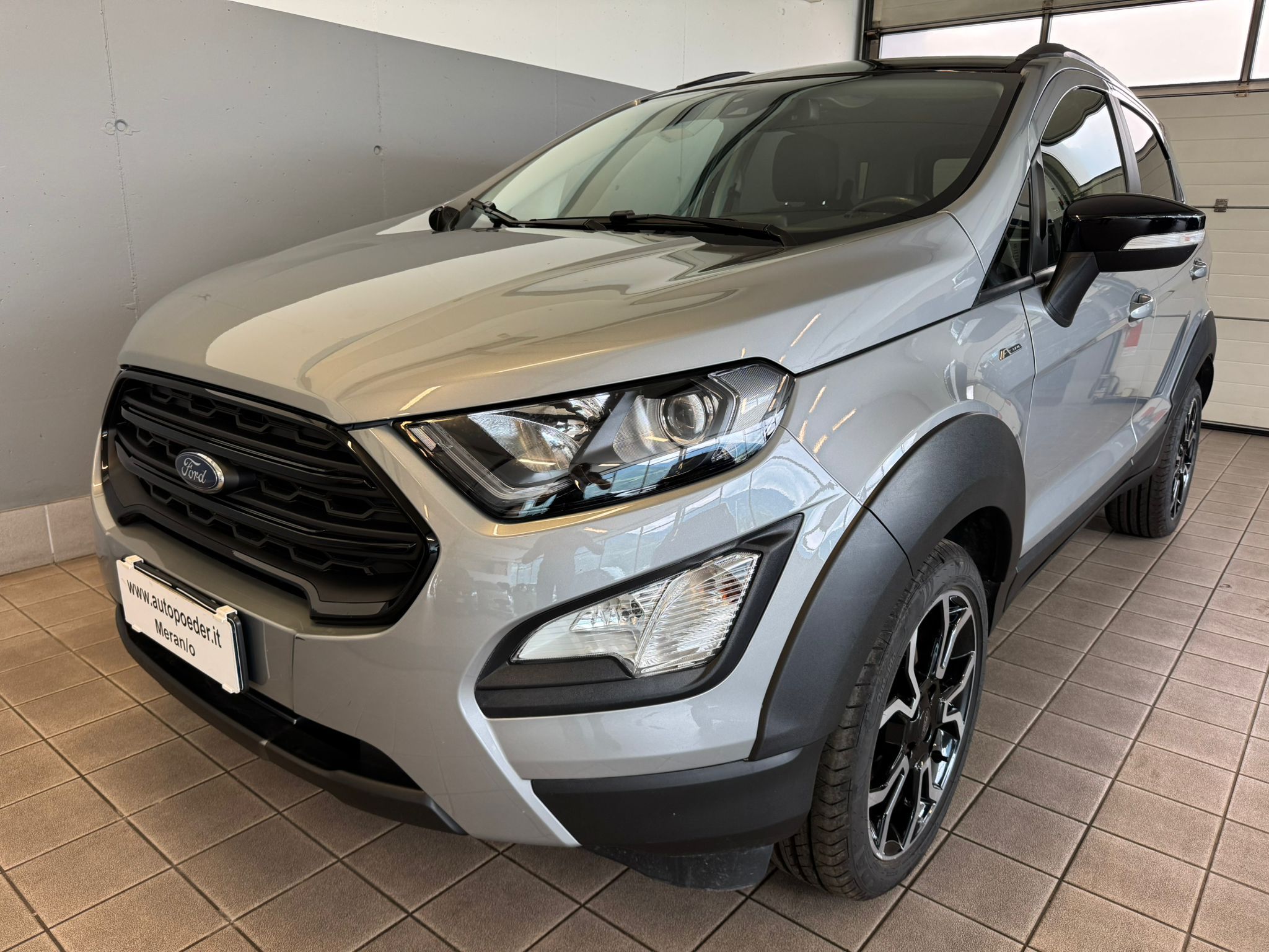 Ford EcoSport 1.0 Active silber (1)