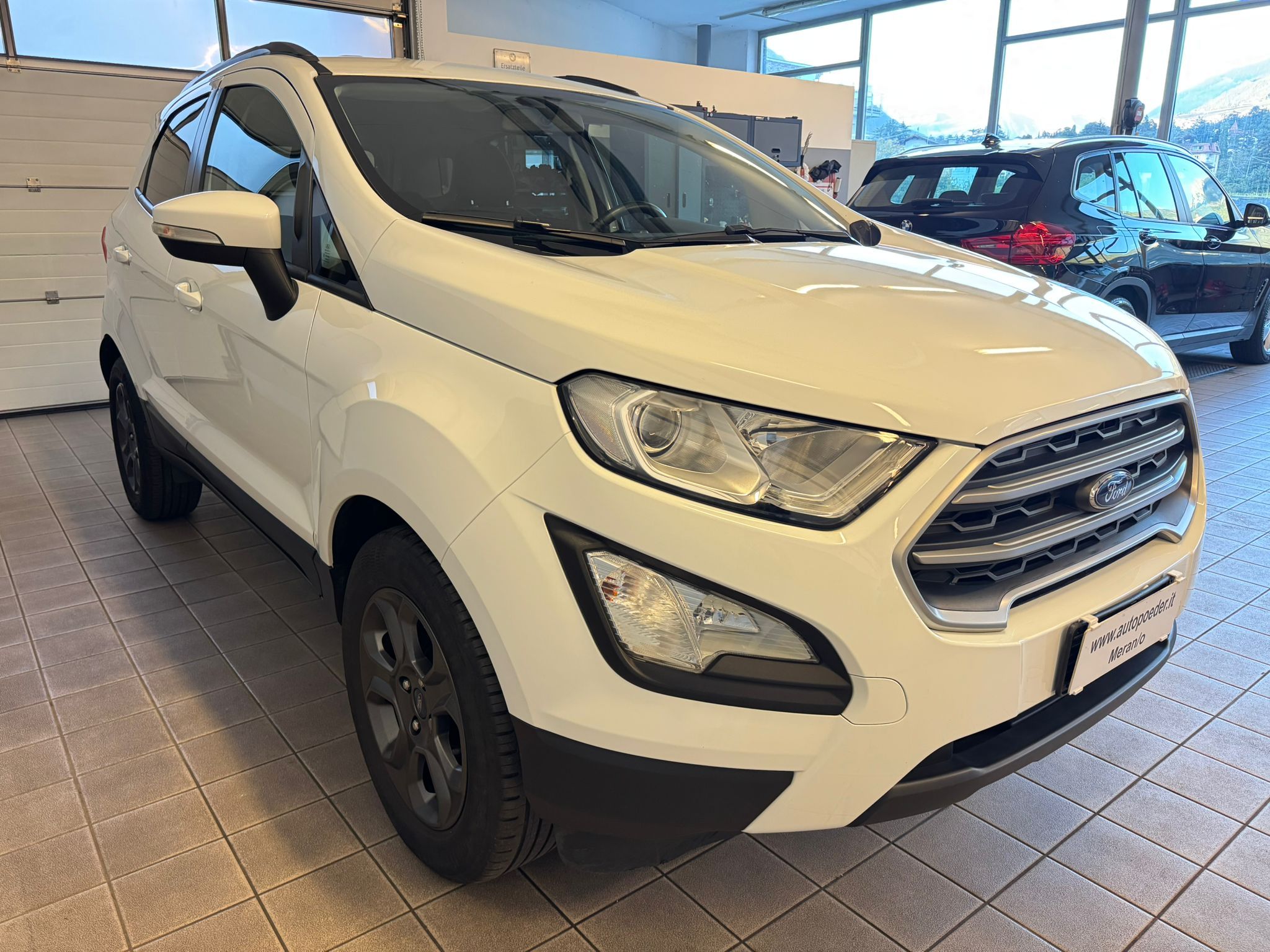 ford ecosport automatik weis ahk (10)