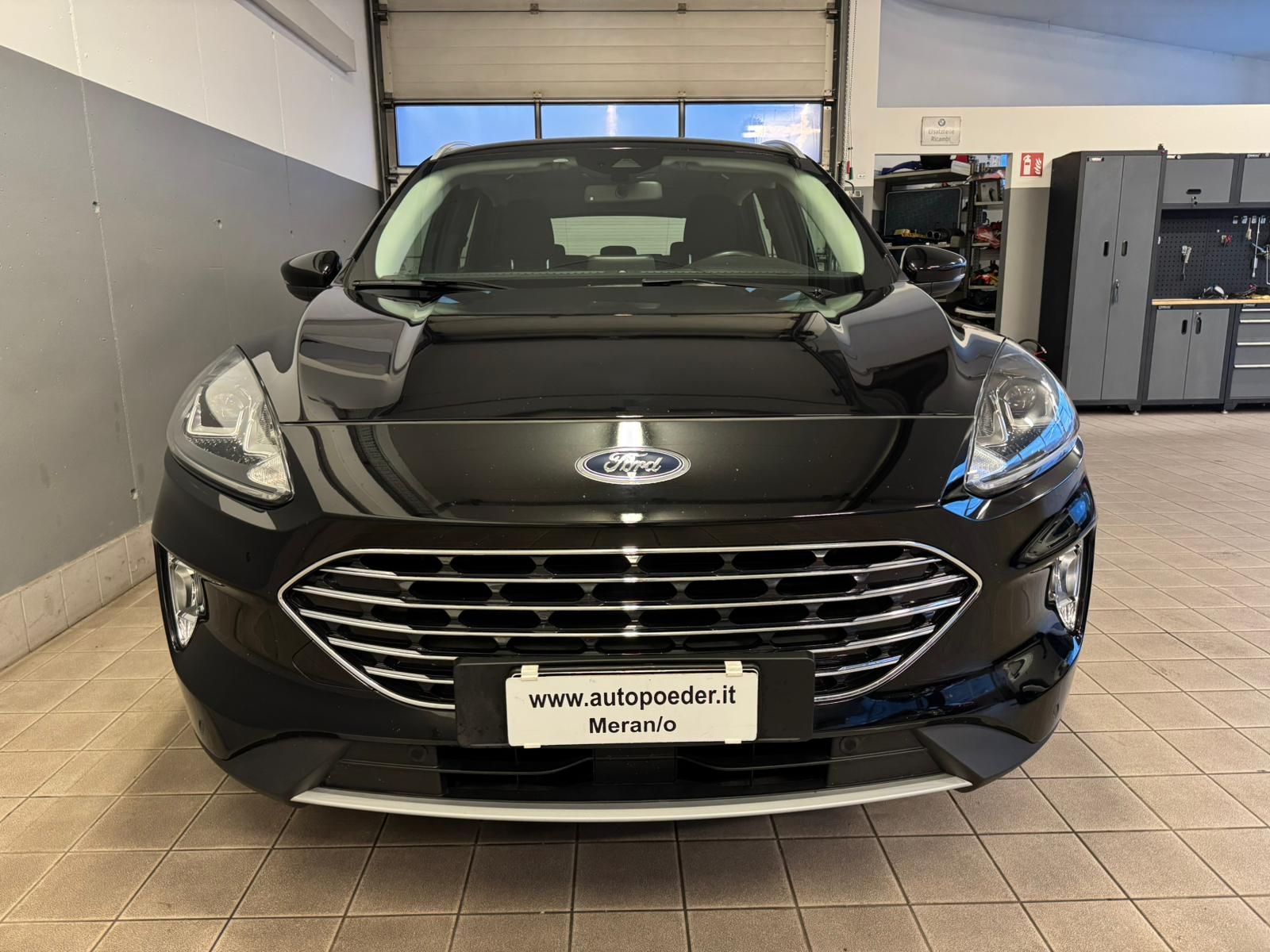 WhatsApp Image 2025 12 01 at 17.50.45 (1)